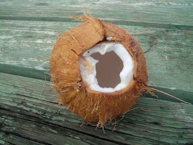 porušený kokosový ořech