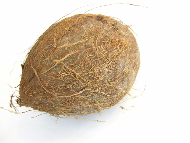 zralý kokosový ořech