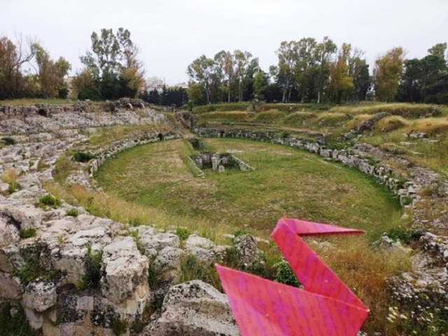 pelikán
